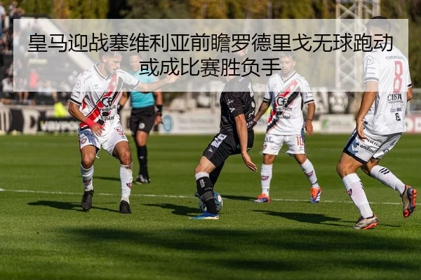 img_1783241698108_486_1_678.jpg